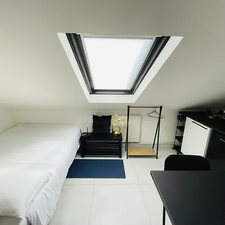 Joivy Cosy Mansard In Apartment *